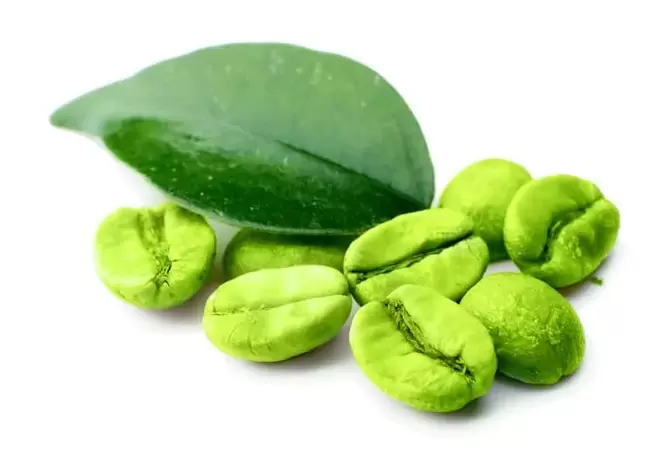 Grüner Kaffee im Ceto -Kaffee